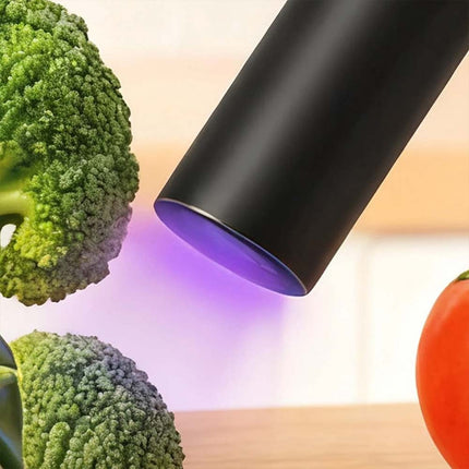Portable UV Black Light Flashlight, UV Inspection Light for Vegetable & Food Contamination Detection