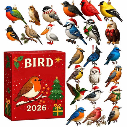 24-Day Christmas Advent Calendar Sea Glass Gnome Birds 2D Acrylic Hanging