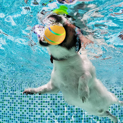 Interactive LED Rolling Ball for Puppy Training & Indoor Outdoor Play
