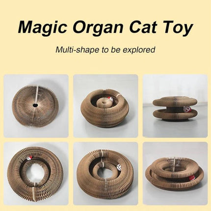 Transformable Cat Toy Set: Wear-Resistant Ball & Scratch Pad, Interactive Kitty Kurlz Play Mat