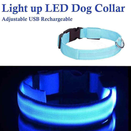 USB Rechargeable LED Dog Collar Adjustable Safety Light Up M