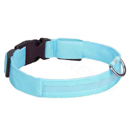 USB Rechargeable LED Dog Collar Adjustable Safety Light Up M