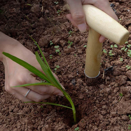 Garden Dibber Seed Bulb Sowing Planting Tool, T-Handle Carbon Steel Punch for Home Gardening