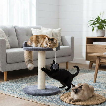 CARLA HOME Cat Tree Tower for Indoor Cats with Plush Perch, Sisal Scratching Post & Hanging Ball Toy for Kittens or Small Breeds-2050057519807729665