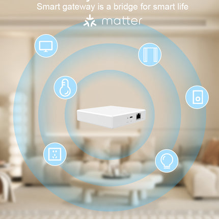 Smart Home Matter Gateway Wired Multi-Mode Hub for IoT Devices
