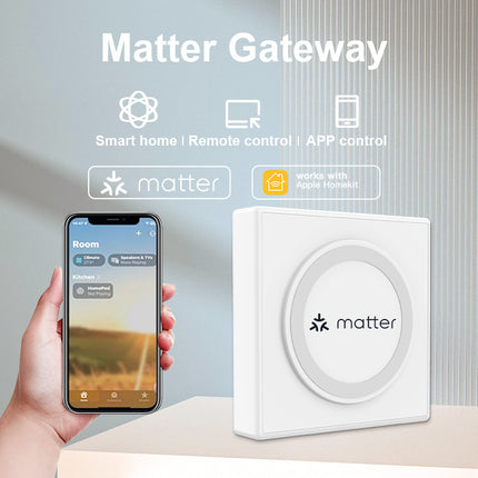 Smart Home Matter Gateway Wired Multi-Mode Hub for IoT Devices
