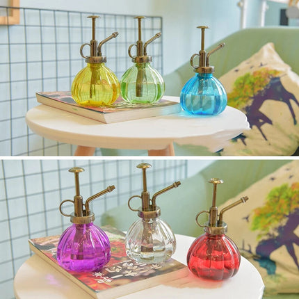 Glass Plant Mister Indoor Watering Can House Water Spray Bottle