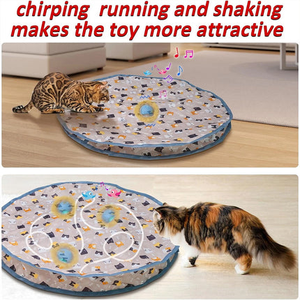 Interactive Chirping Hide & Seek Ball for Smart Cats