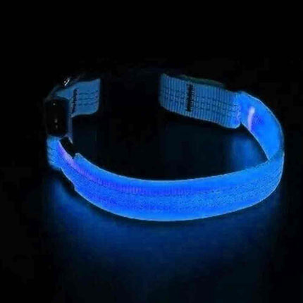 USB Rechargeable LED Dog Collar Adjustable Safety Light Up M