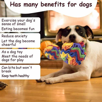 Dog Snuffle Ball Foraging Toy IQ Training Enrichment Puzzle Multicolor