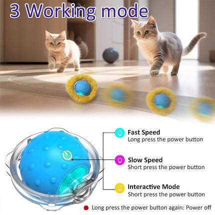 Interactive Chirping Hide & Seek Ball for Smart Cats