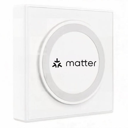 Smart Home Matter Gateway Wired Multi-Mode Hub for IoT Devices