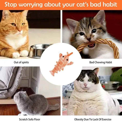 Interactive Rechargeable Moving Cat & Dog Toy – Funny Kitten Play & Dog Chew Toy for Baby Pets