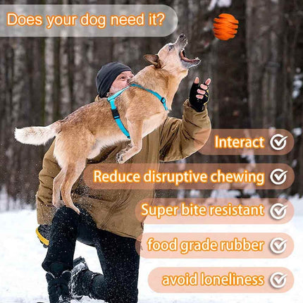 Indestructible Dog Chew Toy, Treat Dispenser & Interactive Pet Toy, Orange 10cm