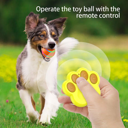 Interactive LED Rolling Ball for Puppy Training & Indoor Outdoor Play