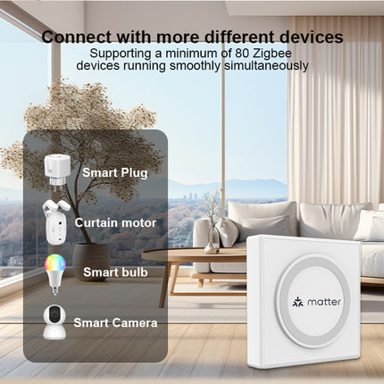 Smart Home Matter Gateway Wired Multi-Mode Hub for IoT Devices