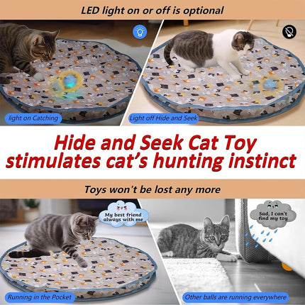 Interactive Chirping Hide & Seek Ball for Smart Cats