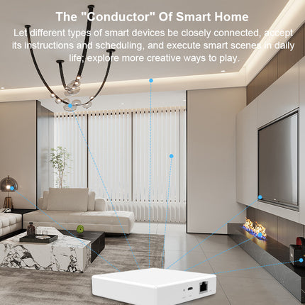 Smart Home Matter Gateway Wired Multi-Mode Hub for IoT Devices