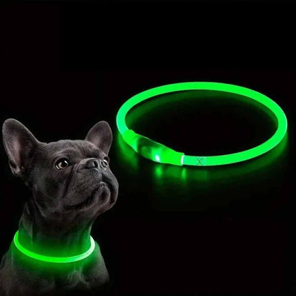 USB Rechargeable LED Light Up Dog Collar, Safety Flashing, Adjustable Size