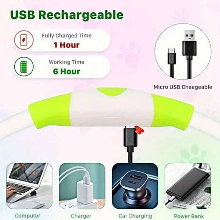 USB Rechargeable LED Light Up Dog Collar, Safety Flashing, Adjustable Size