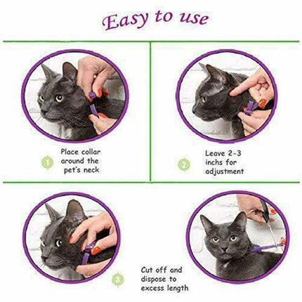 Natural Lavender Cat Calming Collar – Pheromone Relaxation 38cm