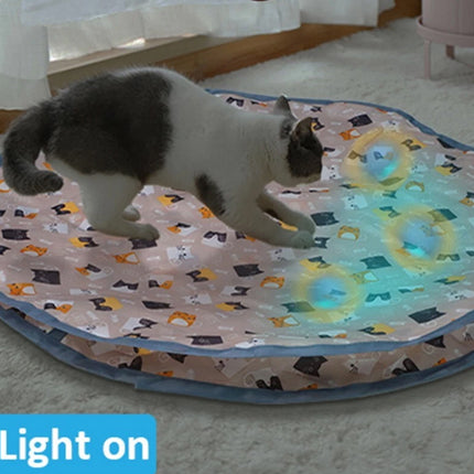 Interactive Chirping Hide & Seek Ball for Smart Cats