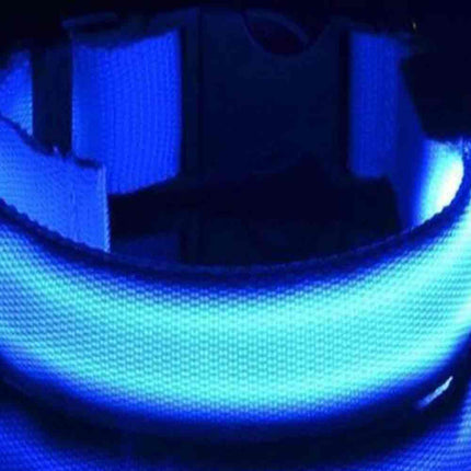 USB Rechargeable LED Dog Collar Adjustable Safety Light Up M