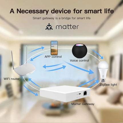 Smart Home Matter Gateway Wired Multi-Mode Hub for IoT Devices
