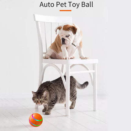 Interactive LED Rolling Ball for Puppy Training & Indoor Outdoor Play