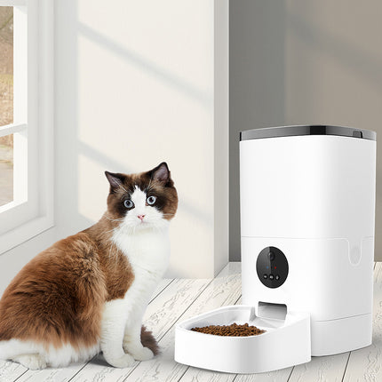 PaWz 6L Auto Feeder Pet Automatic Camera-2102558398632562694