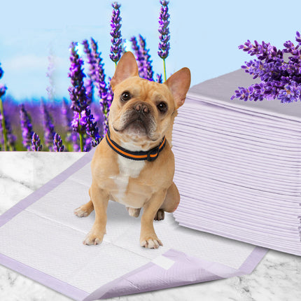 PaWz 200x Pet Dog Toilet Training Pad-2102558426654707718