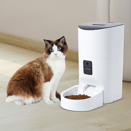 PaWz 6L Auto Feeder Pet Automatic Camera-2102558398632562695