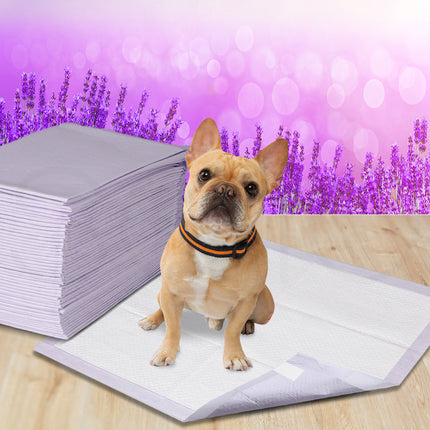 PaWz 100x Pet Dog Toilet Training Pad-2102558426403049479