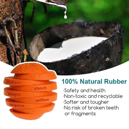 Indestructible Dog Chew Toy, Treat Dispenser & Interactive Pet Toy, Orange 10cm
