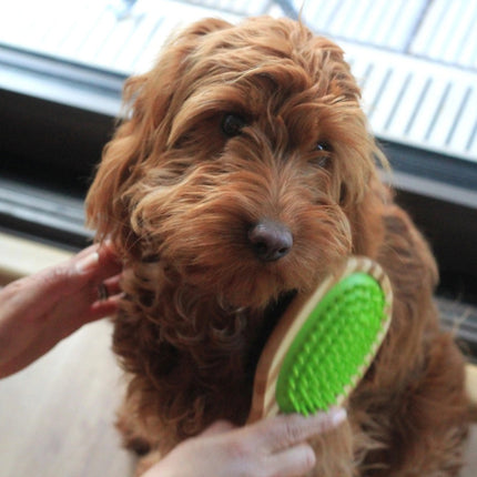 Double Sided Bamboo Dog Brush – Silicone Massager for Grooming