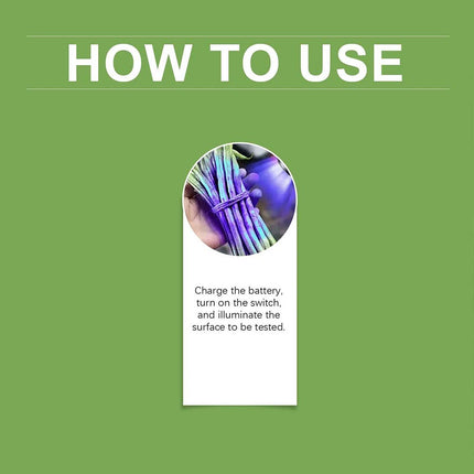 Portable UV Black Light Flashlight, UV Inspection Light for Vegetable & Food Contamination Detection