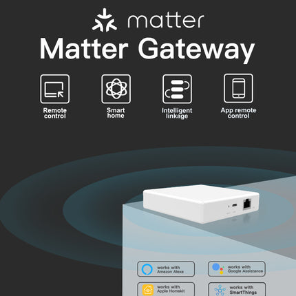 Smart Home Matter Gateway Wired Multi-Mode Hub for IoT Devices
