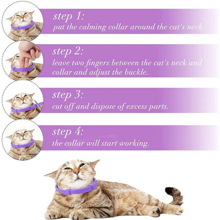 Natural Lavender Cat Calming Collar – Pheromone Relaxation 38cm