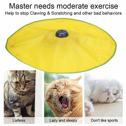 Electronic Interactive Rotating Undercover Mouse Cat Toy with Meow & Puzzle