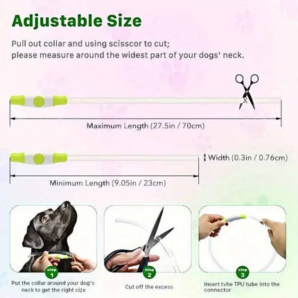 USB Rechargeable LED Light Up Dog Collar, Safety Flashing, Adjustable Size