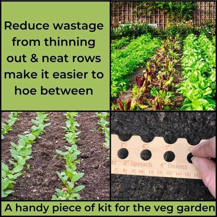 Wooden Planting Ruler & Sowing Spacer – Garden Line Tool for Veg Seeds