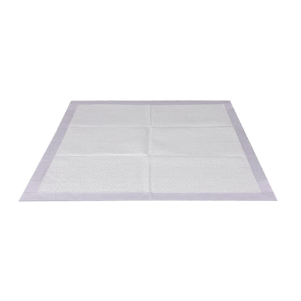 PaWz 200x Pet Dog Toilet Training Pad-2102558426654707713