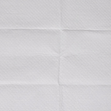 PaWz 400x Pet Dog Toilet Training Pad-2102558426860228613